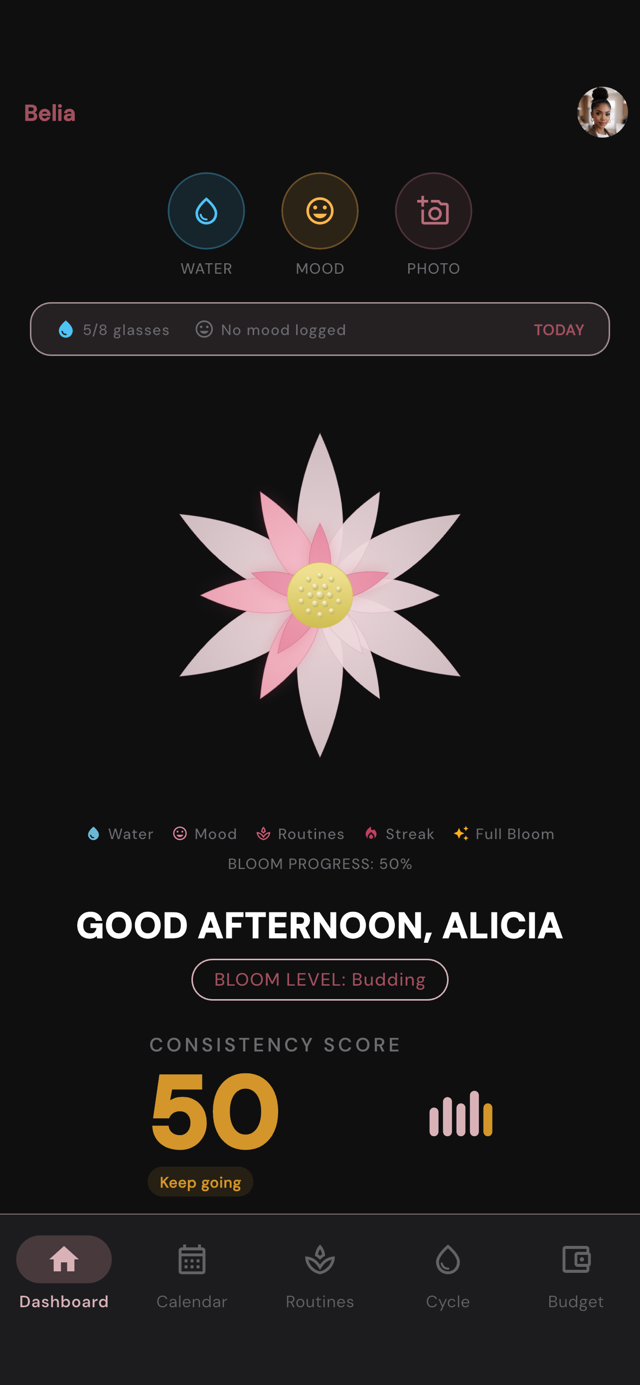 Belia dashboard preview